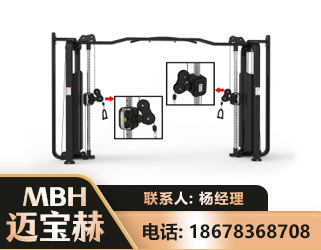 晋中大飞鸟训练器
